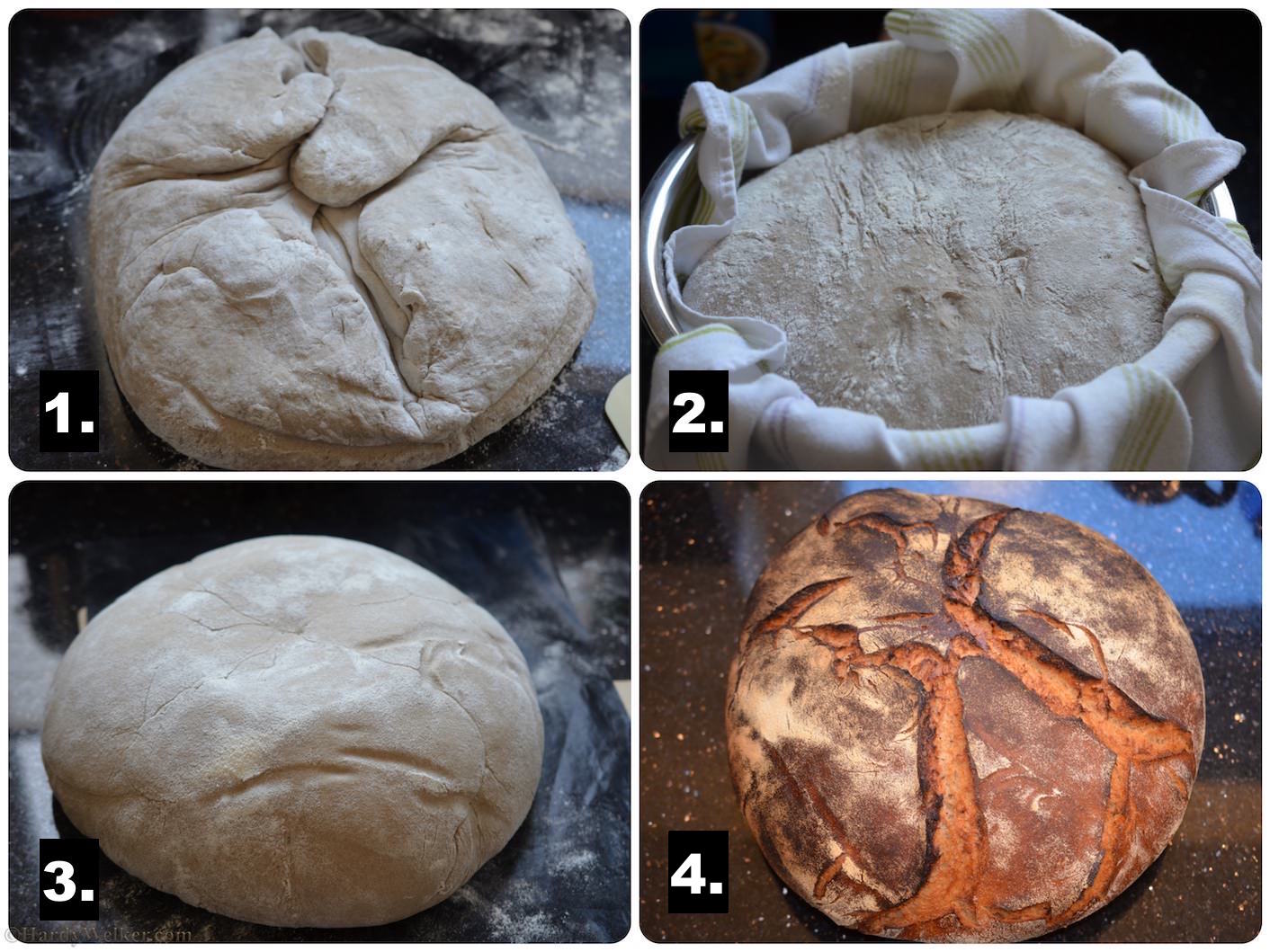 die 4 Phasen des Brot backens