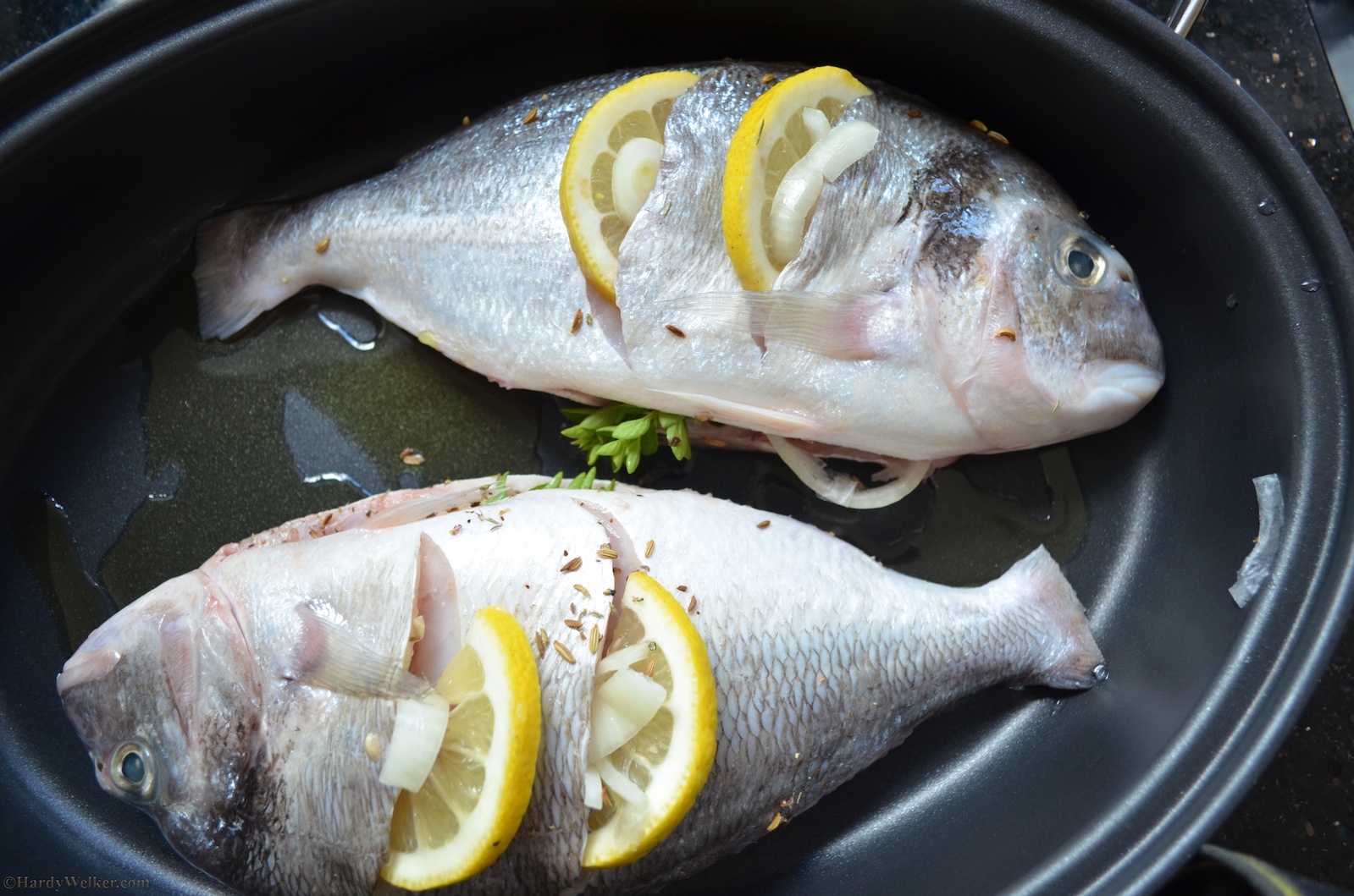 Dorade auf Fenchel - My Blog